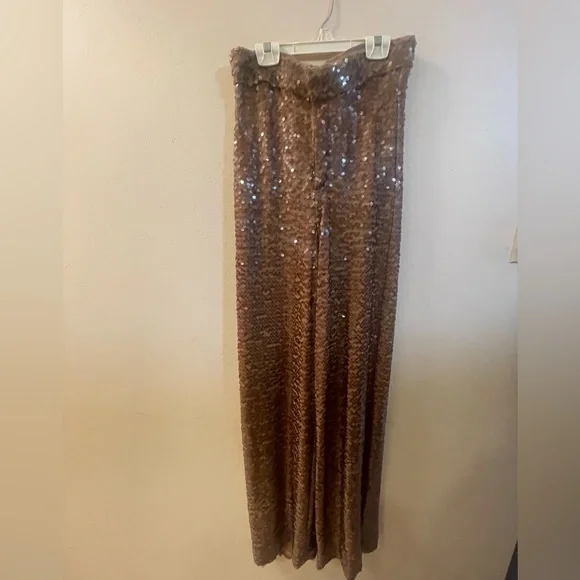 Zara Brown Sequin Pants - Picture 4 of 10